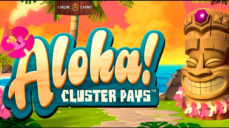 Тематика и особенности видеослота Aloha из казино Rox