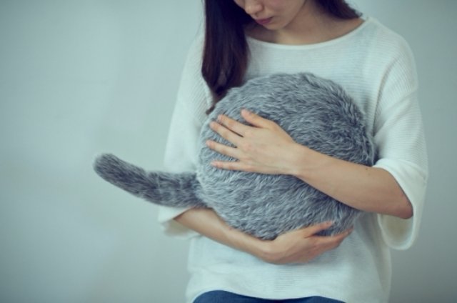 Подушка-кошка, которую вы всегда хотели, теперь доступна для предварительного заказа